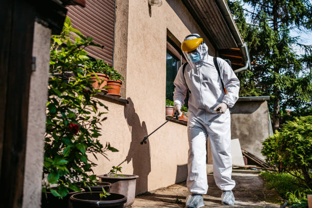 Best Mosquito Control Services  in Vincent, AL