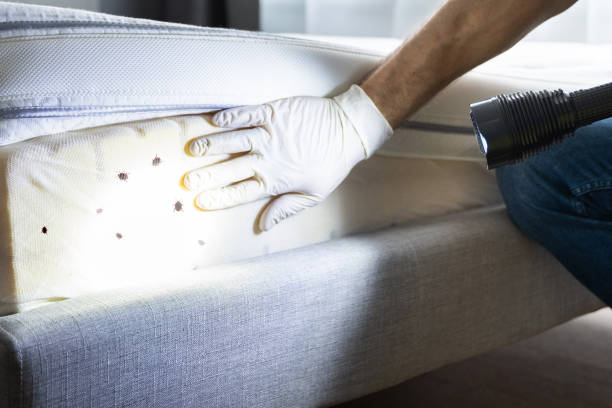 Best Pest Inspection Near Me  in Vincent, AL
