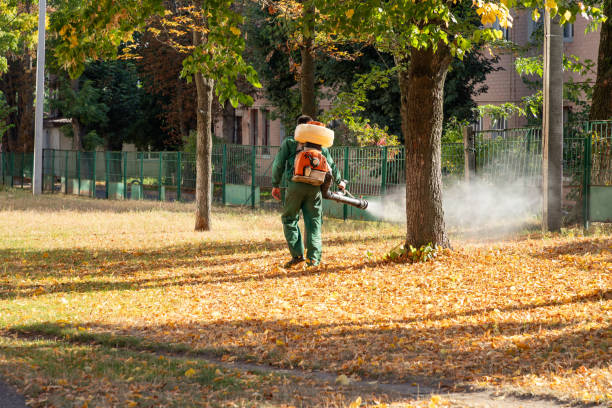 Best Local Pest Control Services  in Vincent, AL