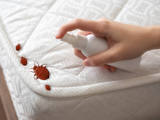Best Commercial Pest Control Services  in Vincent, AL
